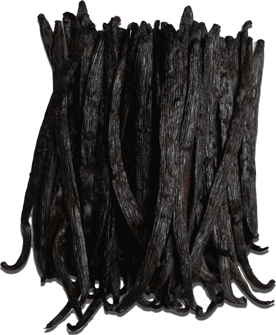 Simba Vanilla cured vanilla beans