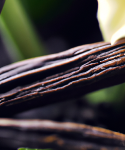 Exploring the World of Vanilla: Origins, Varieties, and Flavors